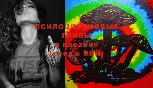 PSILOCYBIN Белокуриха